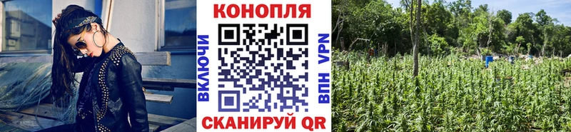 Купить закладку Кокаин  СОЛЬ  Кетамин  Меф  Никольск