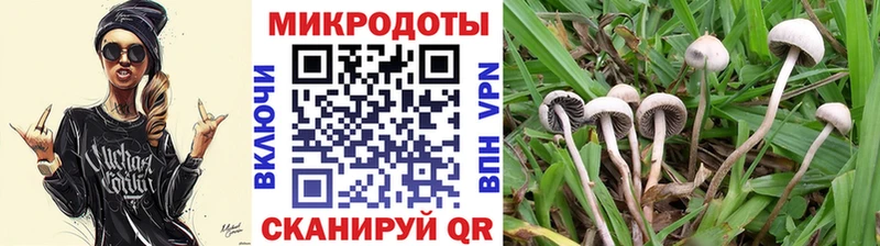 Галлюциногенные грибы Psilocybine cubensis  Купить закладки  Никольск 